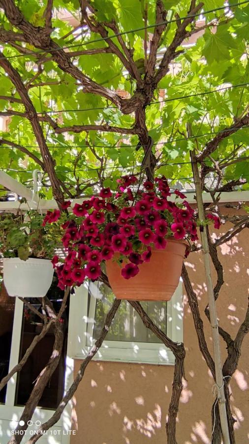 Apartman Tihana Crikvenica Bagian luar foto